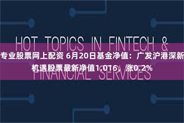 专业股票网上配资 6月20日基金净值：广发沪港深新机遇股票最新净值1.016，涨0.2%