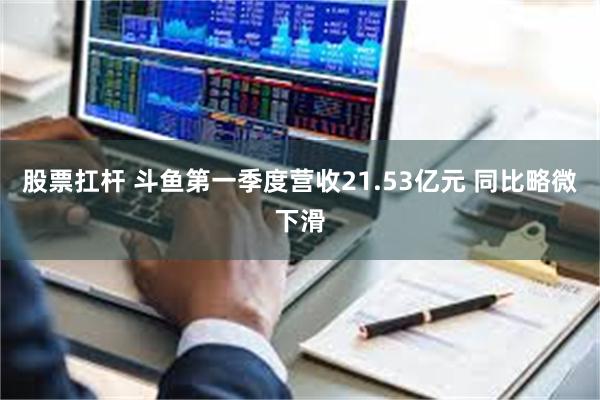 股票扛杆 斗鱼第一季度营收21.53亿元 同比略微下滑