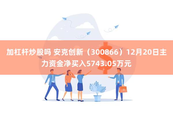 加杠杆炒股吗 安克创新（300866）12月20日主力资金净买入5743.05万元