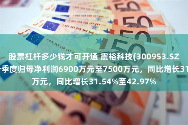 股票杠杆多少钱才可开通 震裕科技(300953.SZ)发预增，预计一季度归母净利润6900万元至7500万元，同比增长31.54%至42.97%