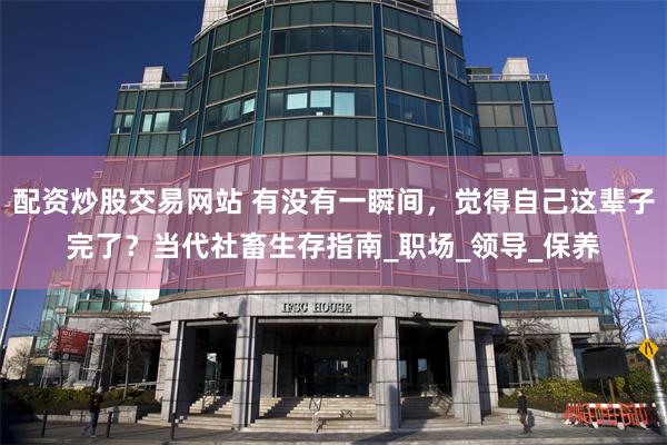 配资炒股交易网站 有没有一瞬间，觉得自己这辈子完了？当代社畜生存指南_职场_领导_保养