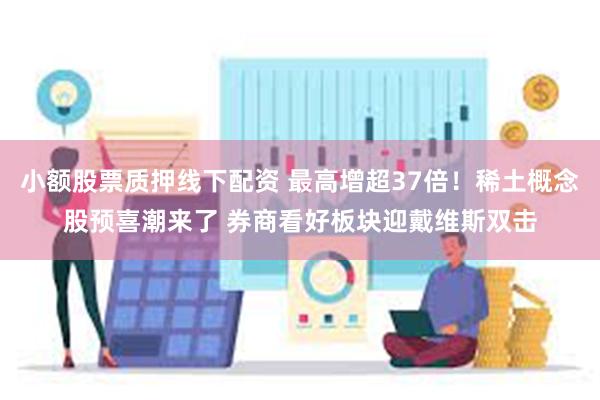 小额股票质押线下配资 最高增超37倍！稀土概念股预喜潮来了 券商看好板块迎戴维斯双击