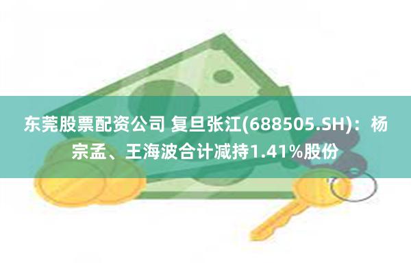 东莞股票配资公司 复旦张江(688505.SH)：杨宗孟、王海波合计减持1.41%股份