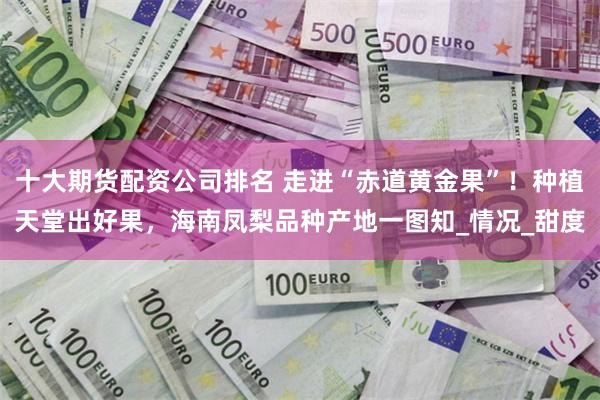 十大期货配资公司排名 走进“赤道黄金果”！种植天堂出好果，海南凤梨品种产地一图知_情况_甜度