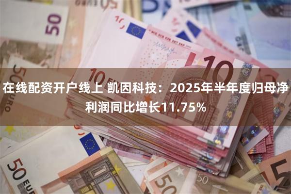在线配资开户线上 凯因科技：2025年半年度归母净利润同比增长11.75%